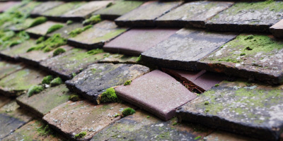 Aspley Guise roof repair costs